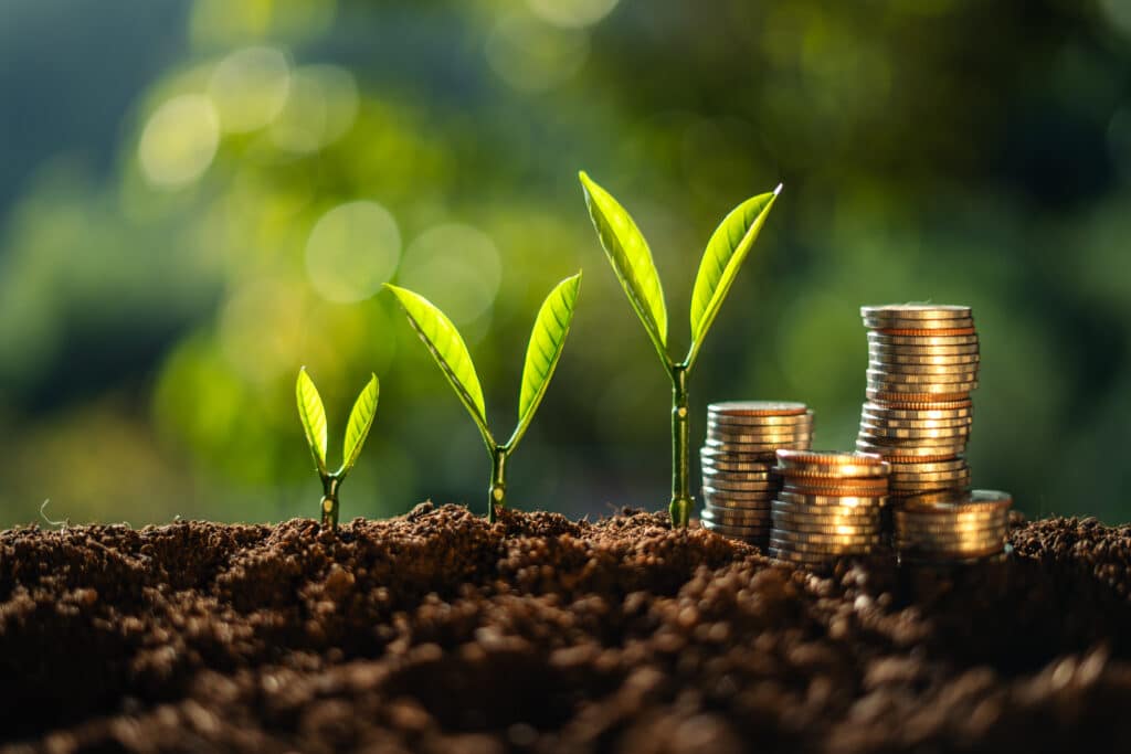 sustainable investing